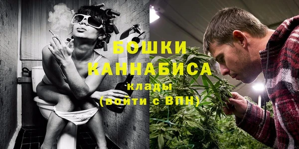 сатива Елабуга