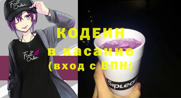 сатива Елабуга
