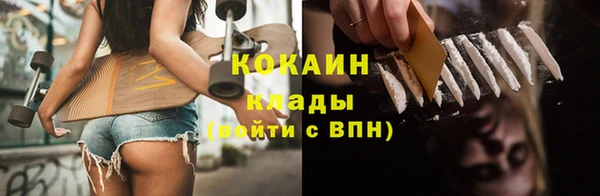 сатива Елабуга