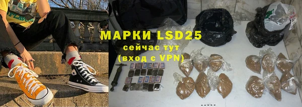 сатива Елабуга